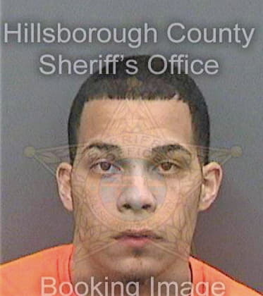 Medinaleon Adrian - Hillsborough County, FL 