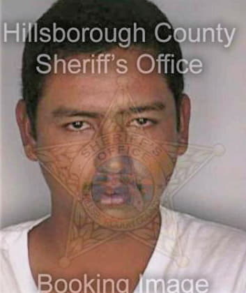 Nevarez Miguel - Hillsborough County, FL 