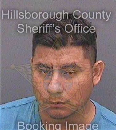 Venturacruz Reynaldo - Hillsborough County, FL 