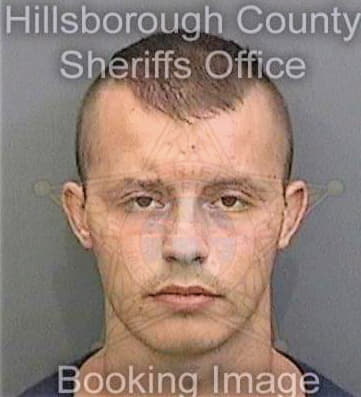 Dubovoy Phillip - Hillsborough County, FL 