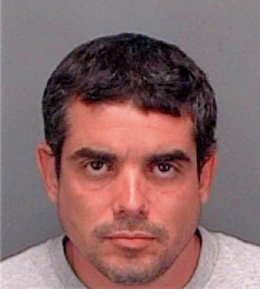 Romero Reyanldo - Pinellas County, FL 