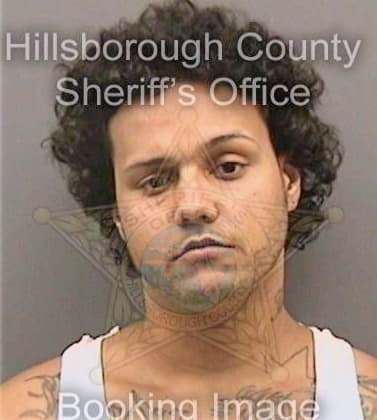 Ortiz Manuel - Hillsborough County, FL 