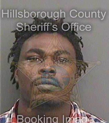 Hollis Steve - Hillsborough County, FL 