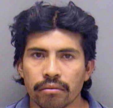 Santiago Faustino - Lee County, FL 