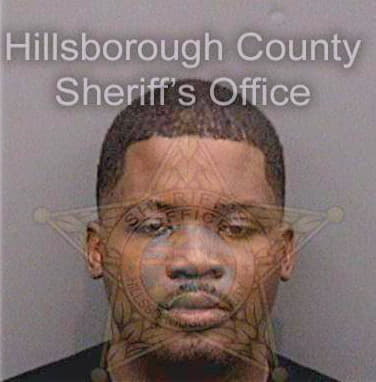 Taylorculbreth Delvon - Hillsborough County, FL 