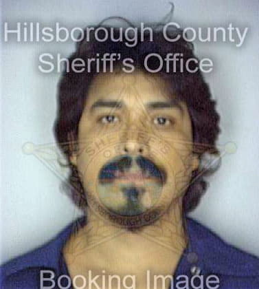 Soto Humberto - Hillsborough County, FL 