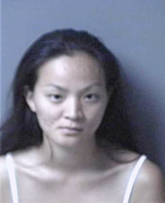 Liu Hui - Lee County, FL 