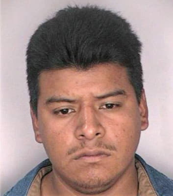 Guerrerosanchez Miguel - Hillsborough County, FL 