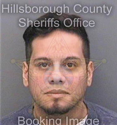 Colonrosado Luis - Hillsborough County, FL 