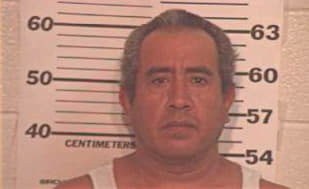 Gaona Raul - Hidalgo County, TX 