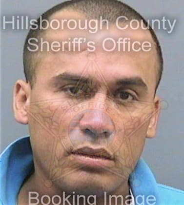 Delafuenterodriguez Alfredo - Hillsborough County, FL 