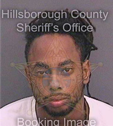 Mcclarin Ahmad - Hillsborough County, FL 