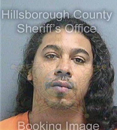 Lewis Andre - Hillsborough County, FL 