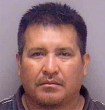 Pedro Oswaldo - Lee County, FL 