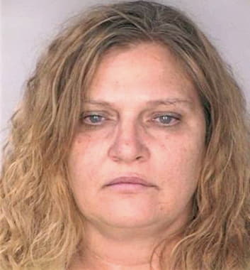 Meyers Debra - Hillsborough County, FL 