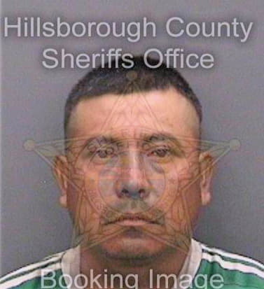 Martinezcuevas Vicente - Hillsborough County, FL 