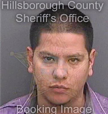 Perez Abraham - Hillsborough County, FL 