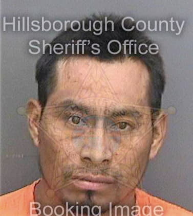 Flores Tobias - Hillsborough County, FL 