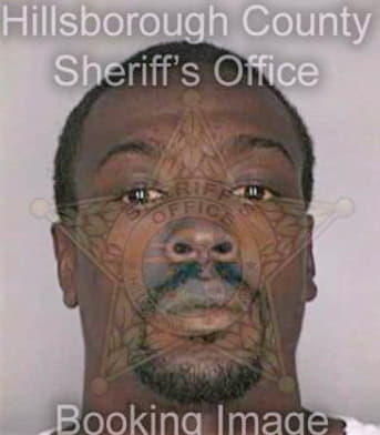 Simmons Michael - Hillsborough County, FL 