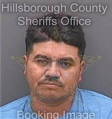 Martinezhernandez Gerardo - Hillsborough County, FL 