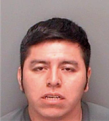 Panzo Jorge - Pinellas County, FL 