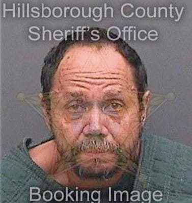 Mercadojaiman Alcides - Hillsborough County, FL 