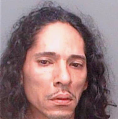 Verdejo Heriberto - Pinellas County, FL 