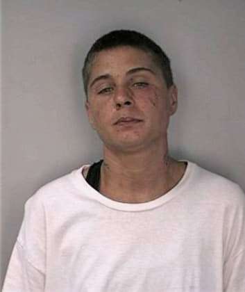 Blevins Nicole - Hillsborough County, FL 