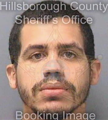 Oppegaard Kristopher - Hillsborough County, FL 