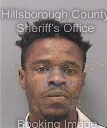 Gibson Twanshay - Hillsborough County, FL 