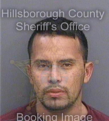 Reyesalvarado Ricardo - Hillsborough County, FL 