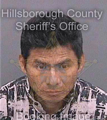 Perezhernandez Celestino - Hillsborough County, FL 