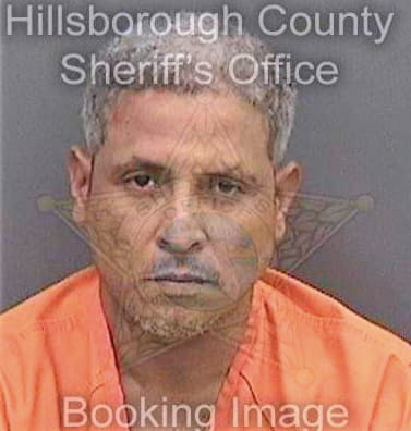 Cruzvargas Gilberto - Hillsborough County, FL 