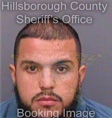 Gonzalez Emilio - Hillsborough County, FL 