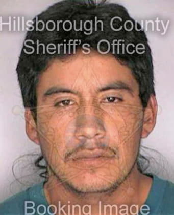 Garcia Marcelo - Hillsborough County, FL 