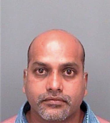 Polsani Vijaya - Pinellas County, FL 