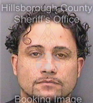 Dejesus Alfonso - Hillsborough County, FL 