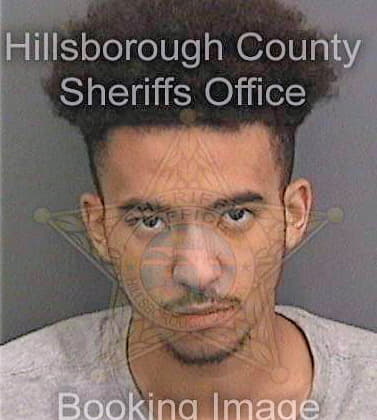 Hough Desmond - Hillsborough County, FL 