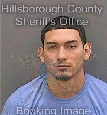 Garcia Ernest - Hillsborough County, FL 