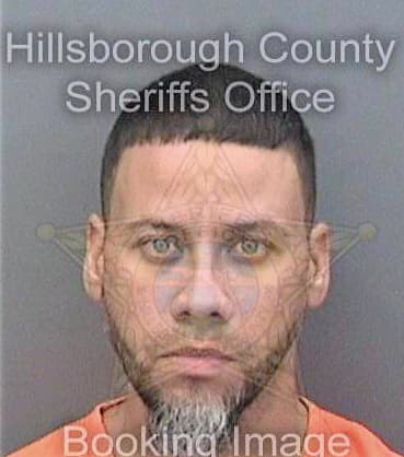 Pena Reinaldo - Hillsborough County, FL 