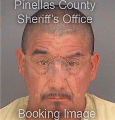 Hernandez Erasmo - Pinellas County, FL 