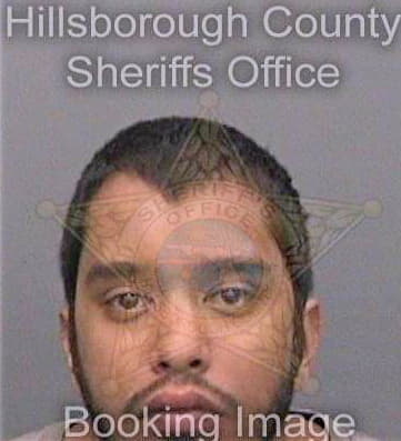 Dyanand Ravin - Hillsborough County, FL 