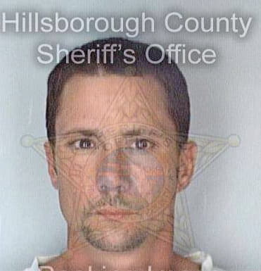 Fitzhenry Richard - Hillsborough County, FL 