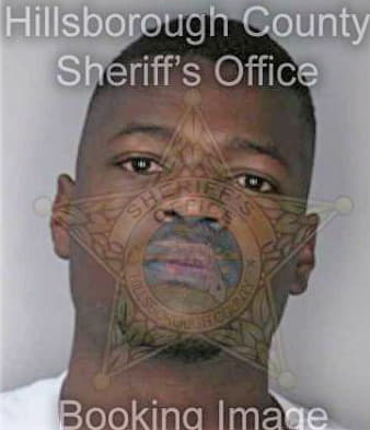 Bouyie Jeffrey - Hillsborough County, FL 