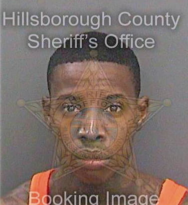 Johnson Ray - Hillsborough County, FL 