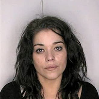 Melendez Adelina - Hillsborough County, FL 