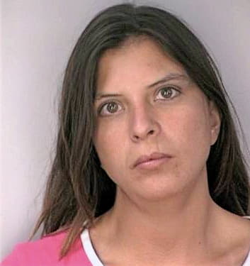 Ramirez Christina - Hillsborough County, FL 