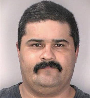 Velasquez Gerardo - Hillsborough County, FL 