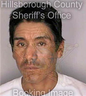 Felipe Santiago - Hillsborough County, FL 