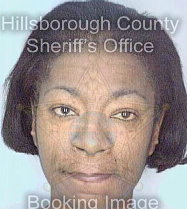 Michael Guanine - Hillsborough County, FL 